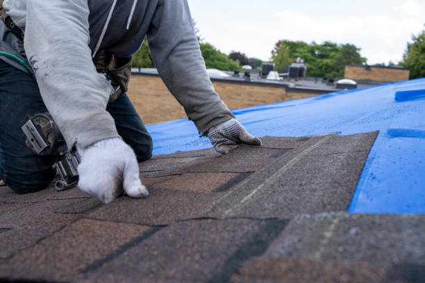 Best Emergency Roof Repair  in Renovo, PA